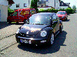 nhp-beetle-fr.gif
