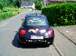nhp-beetle-he.gif
