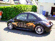 nhp-beetle-se.gif